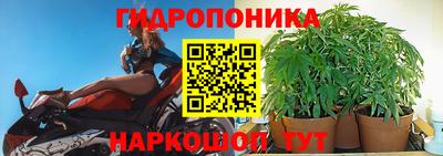 ГАЛЛЮЦИНОГЕННЫЕ ГРИБЫ Гусь-Хрустальный