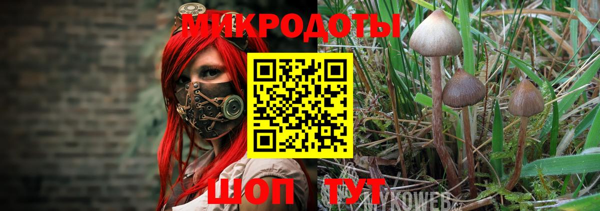 Лангепас  Псилоцибиновые грибы прущие грибы  Вход с VPN 