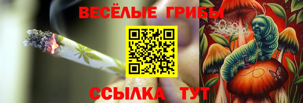 Псилоцибиновые грибы Psilocybe Лангепас